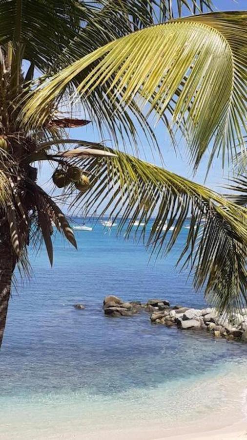 Seabird Studio Marigot  Exterior foto